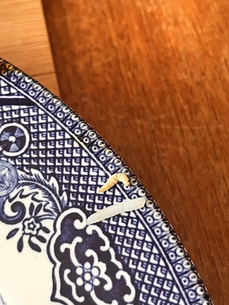 Eleisha Agate_Pasha Restaurant_Cowplain_review