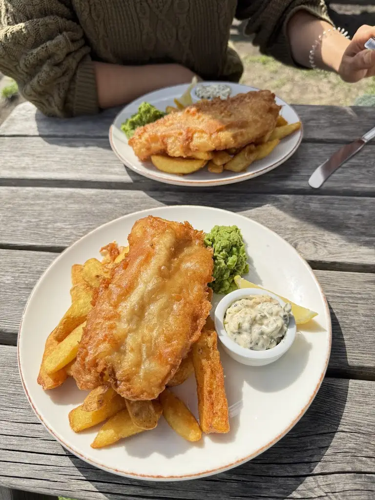 Atena Mayahi_The Farmer Inn_Cowplain_review