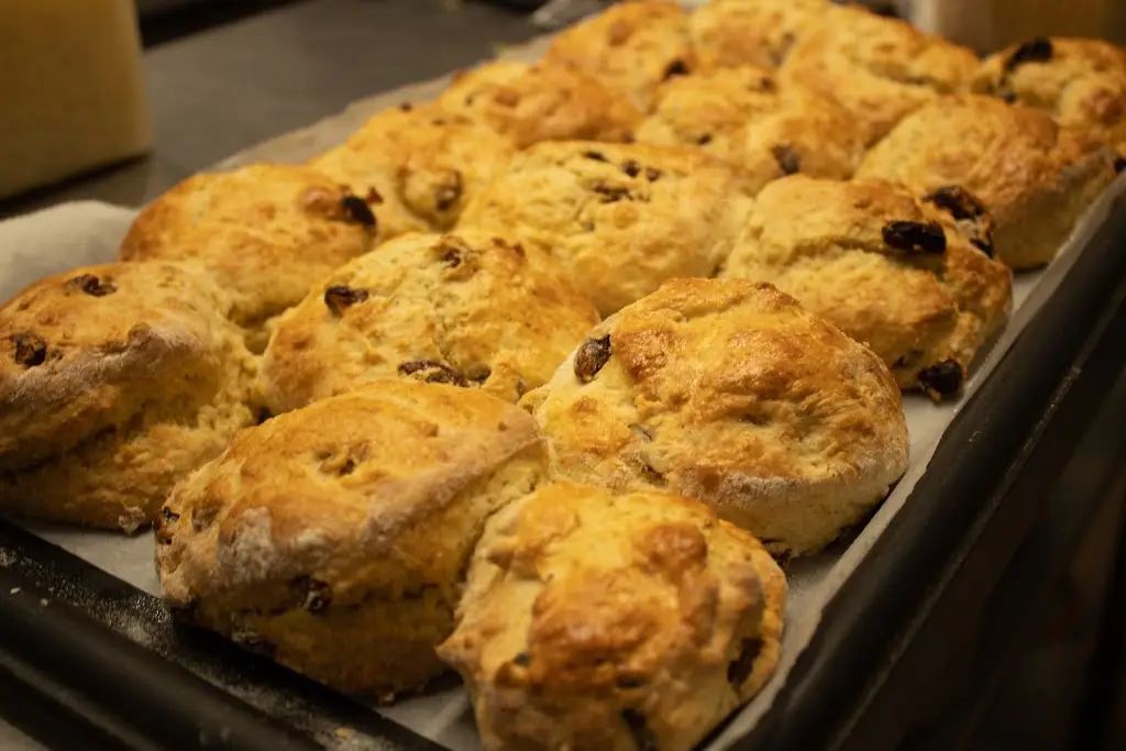 Menu_Ayscoughfee Hall Cafe by Harringtons_Cowbit_image_7