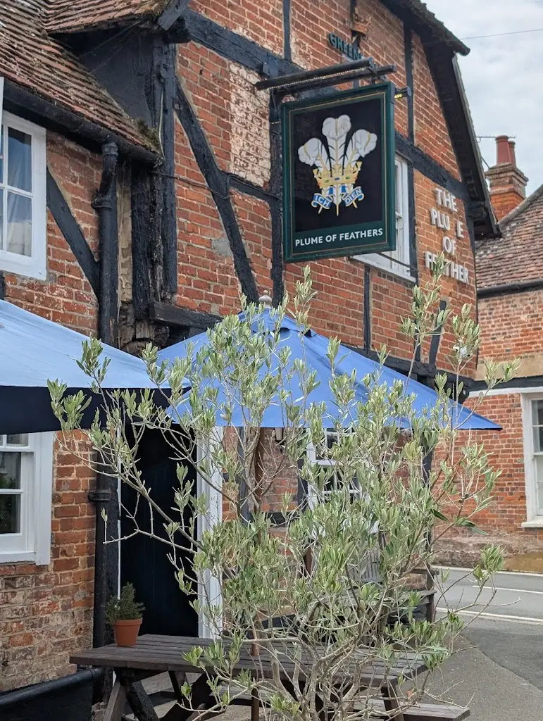 Stéphanie Storey_The Plume of Feathers Inn_Crondall_review