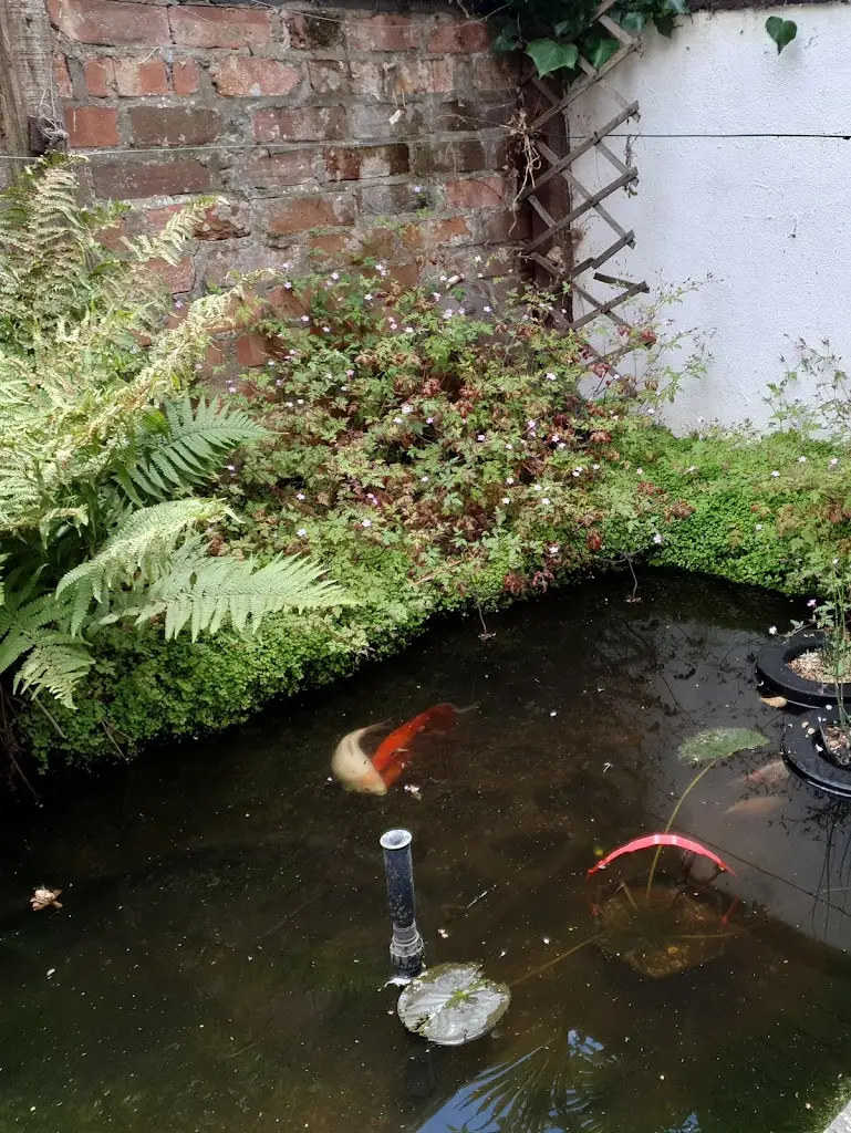 Jon Sharp_Browne's On Bond Street_Cromer_review