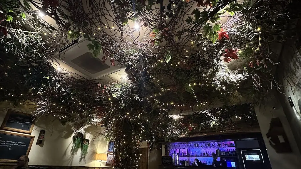 Kateryna Kuchuk_Tree House_Crosby_review