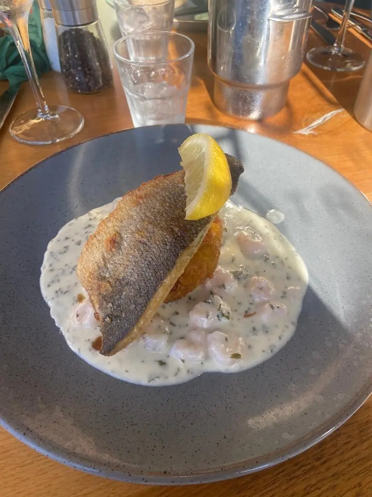 Paula Johnson_Tree House_Crosby_review