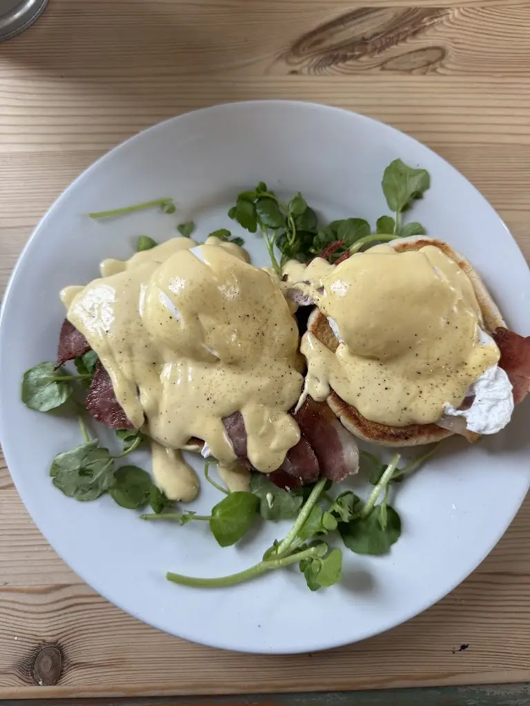 Molly Braham_The Feed Station_Crewkerne_review