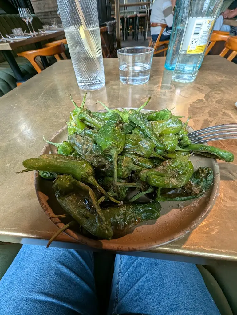 Teresa Cramer_Fern_Croydon_review