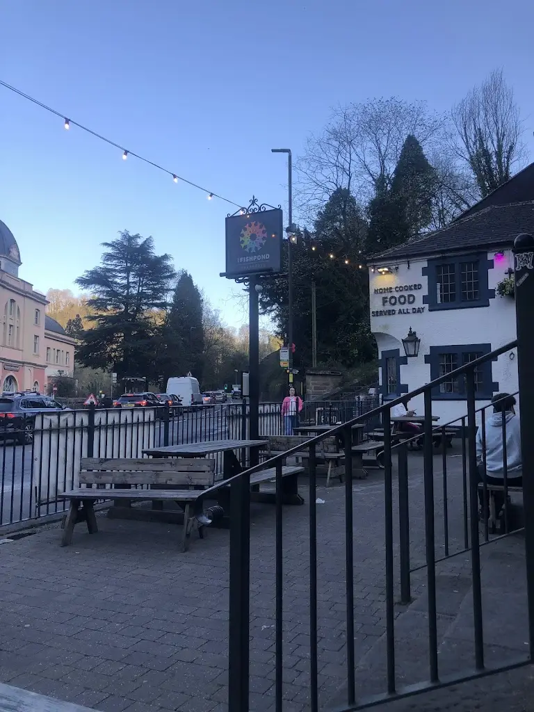 g t_The Fishpond_Cromford_review