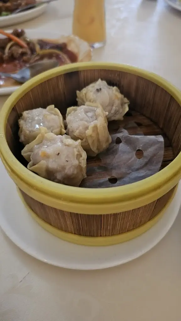 PrimaLash Lashes_The Jade Buddha_Cuddington_review