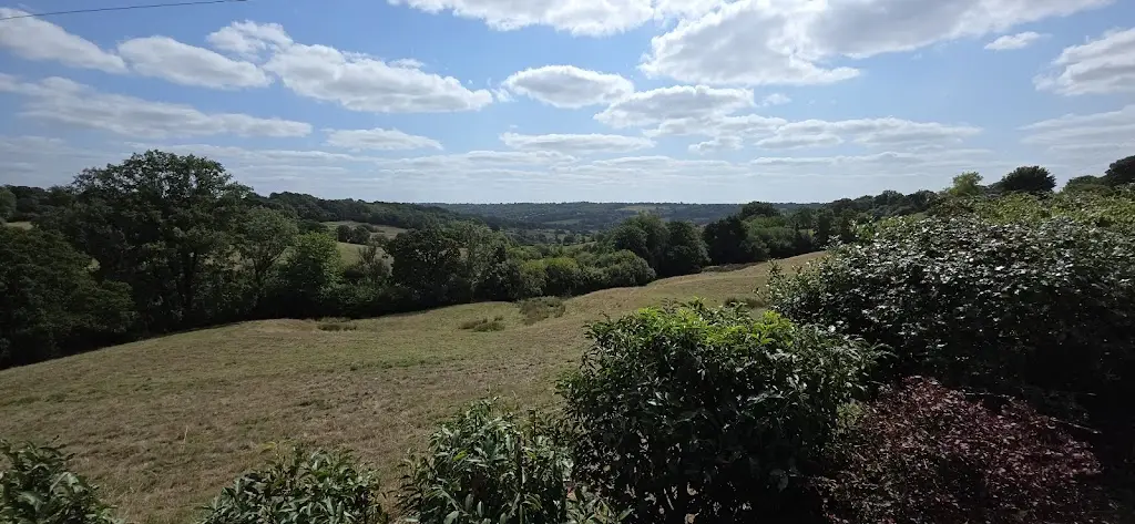 Denis Franklin (Frankie)_Half Moon Inn_Cullompton_review