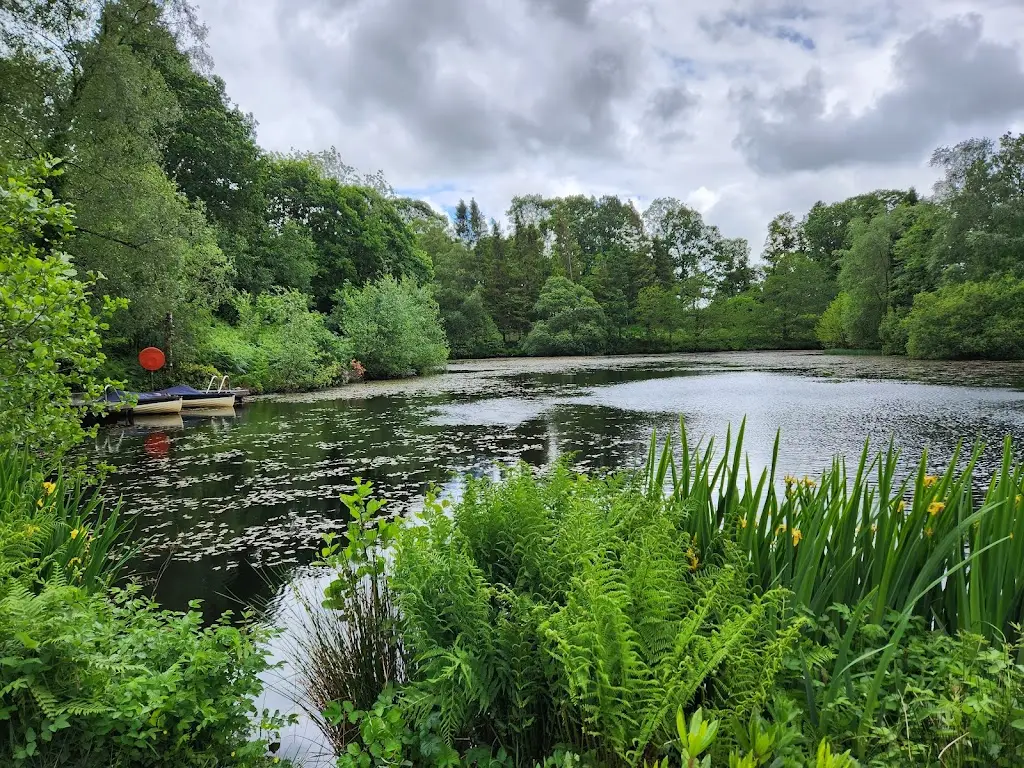 Cassie P (Dinewithcas)_Henrock_Cumbria_review