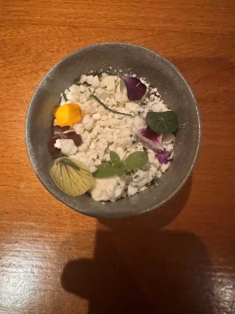 Shervin K_Henrock_Cumbria_review