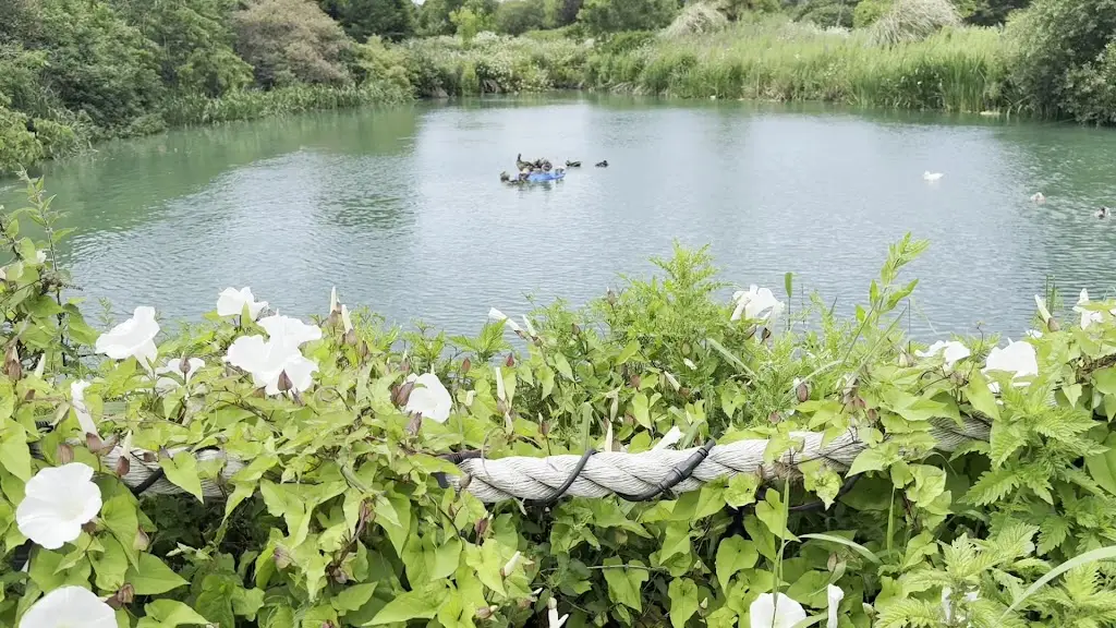 Pawandeep Singh Maniktala_Partridge Lakes Cafe_Culcheth_review