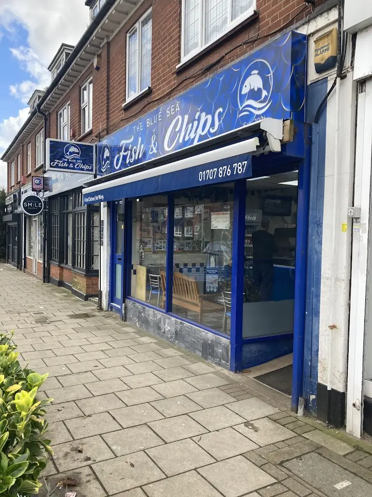 Serene Metson-Huynh_The Blue Sea Fish and Chips _Cuffley_review