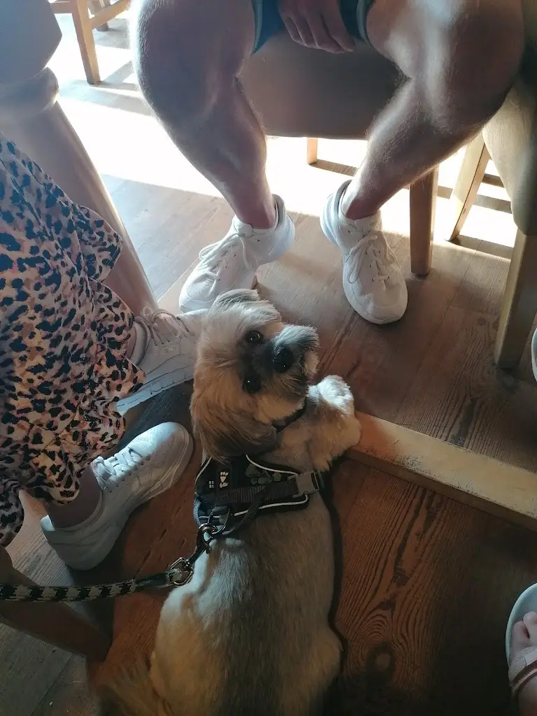 Sue Scully_Stepping Stones_Ashbourne_review