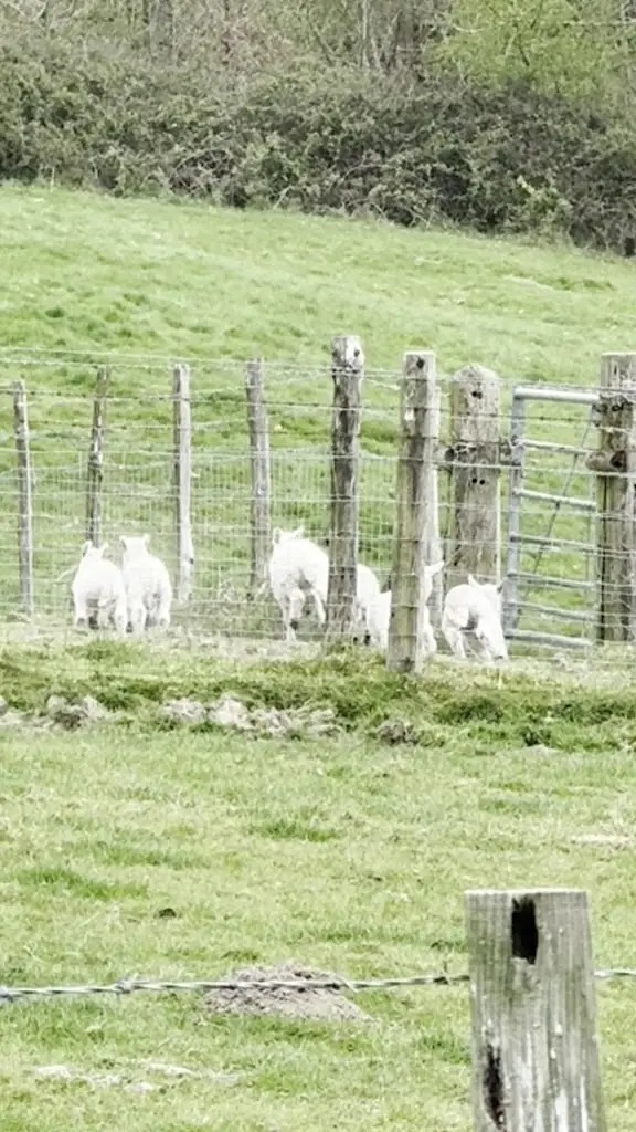 Martin Wobbly_The Boars Head Inn Crowborough_Crowborough_reseña
