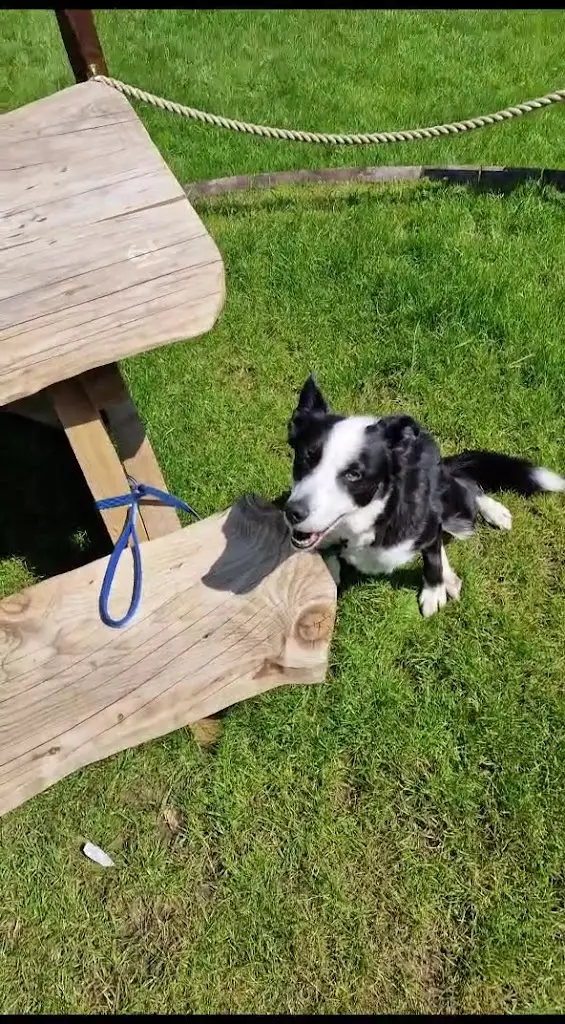 The Kings Arms_Crowborough_slider_image_2