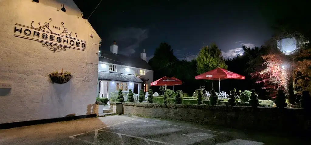 Guys Who Dine_The Horseshoes_Ashbourne_review