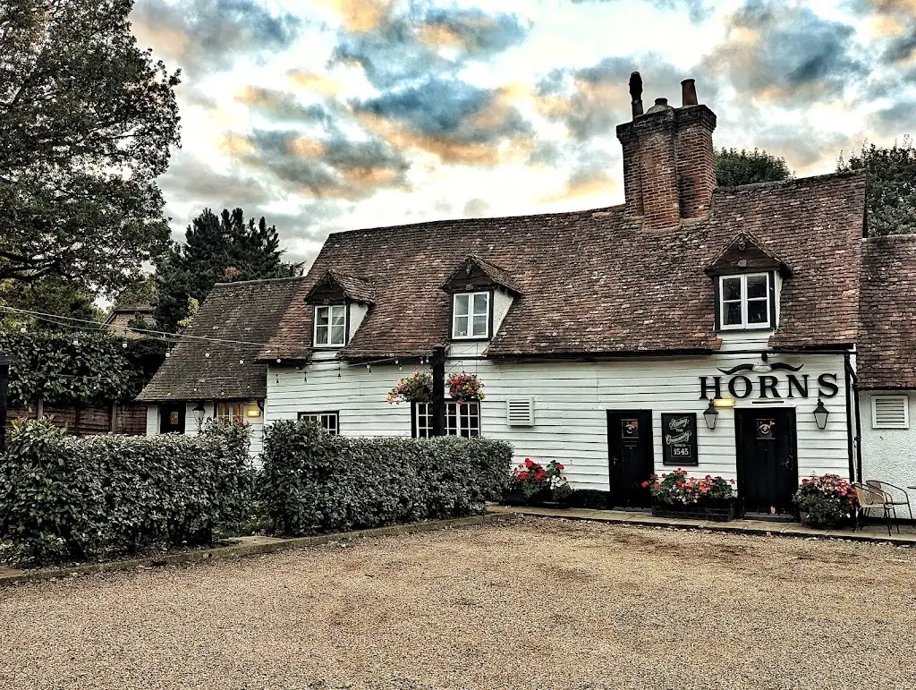 Robert Young_The Horns_Datchworth_recensione