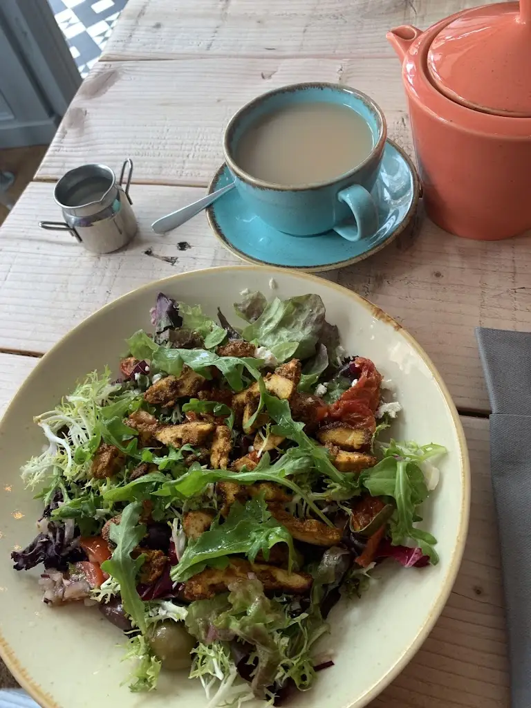 Catherine Parnaby-Munck_The Wandering Duck_Darlington_recensione