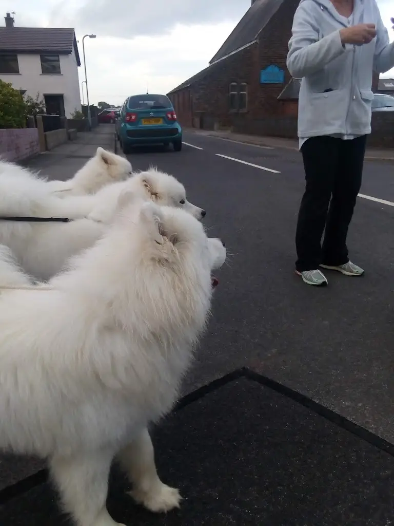 Bella Pizza_Dearham_slider_image_2