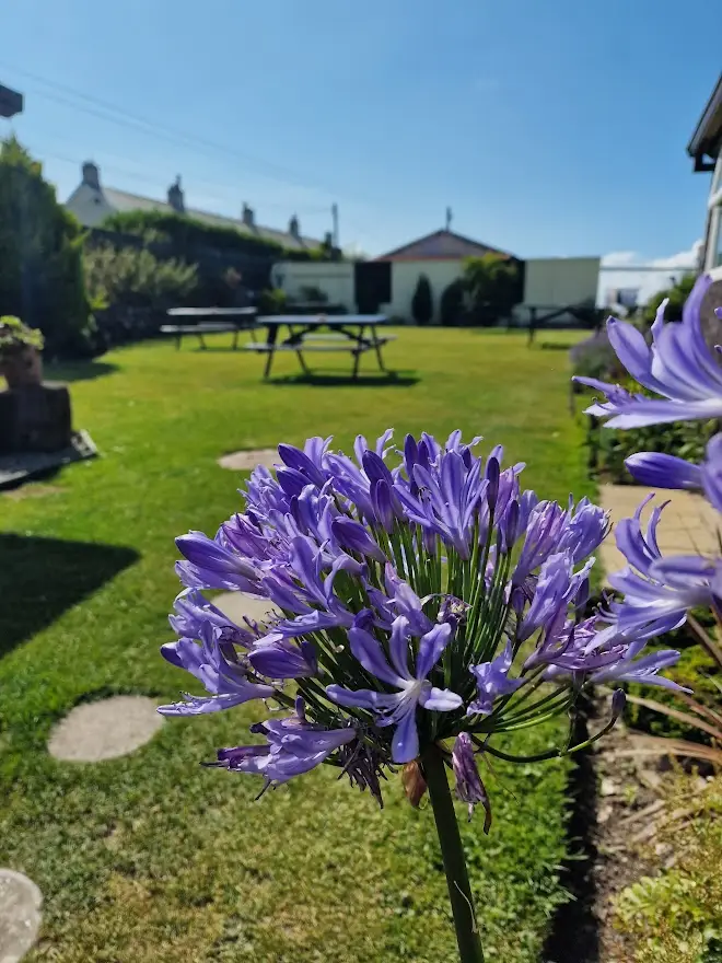 The Bettle & Chisel_Delabole_slider_image_3