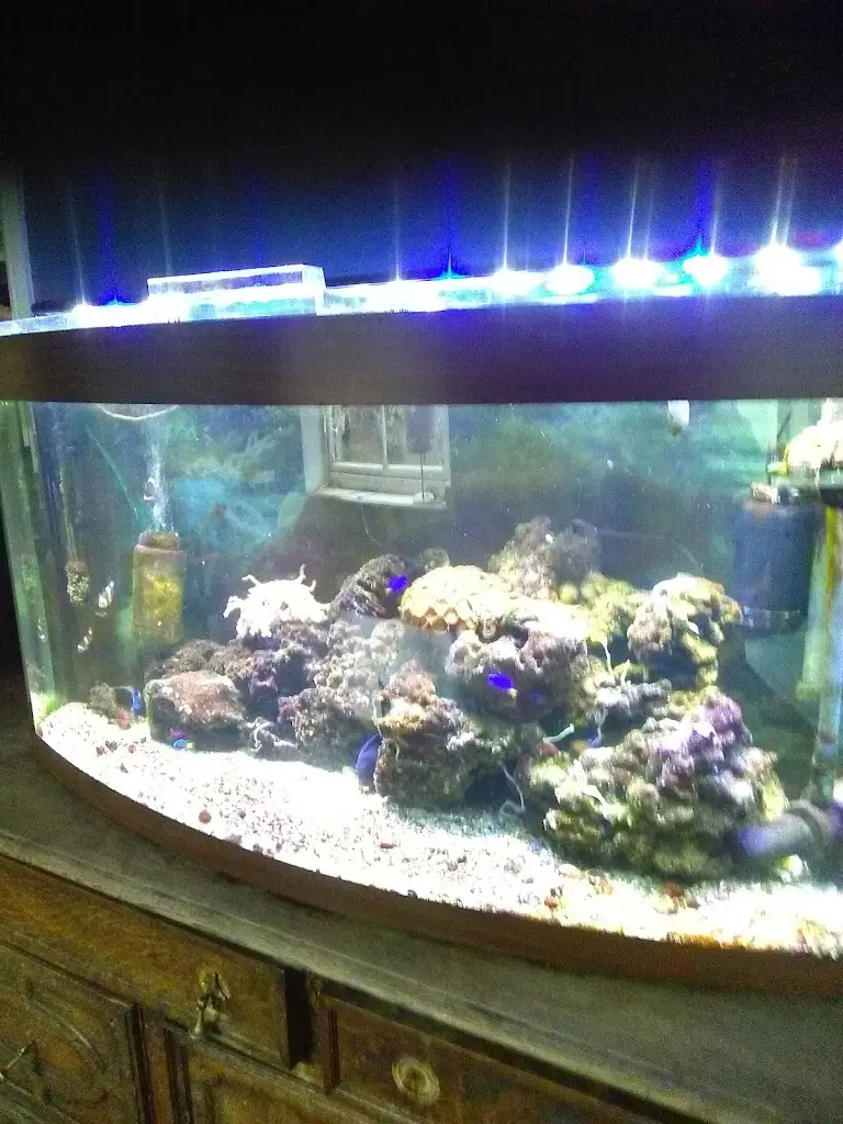 colin woodhead_Bulls Head_Delph_review