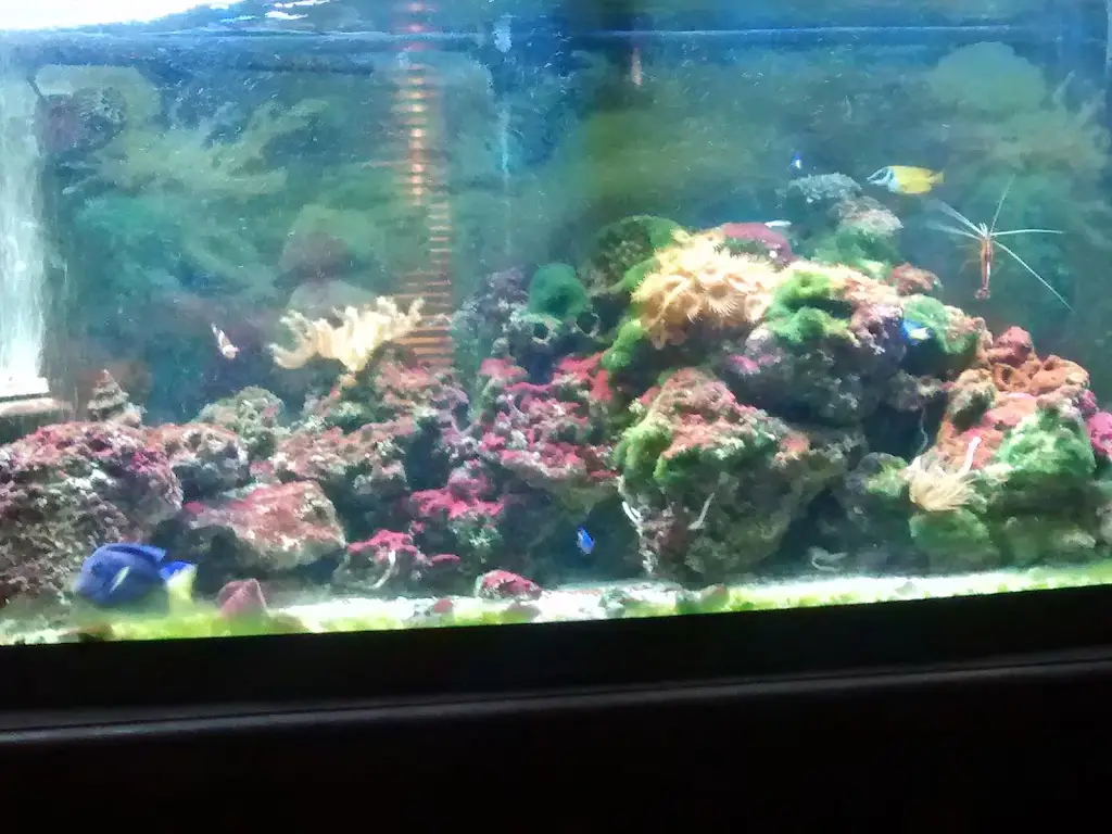 Bulls Head_Delph_slider_image_3