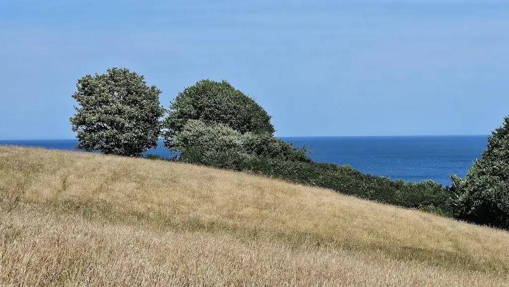 Valerie Campbell_The Smugglers Inn_Dawlish_reseña