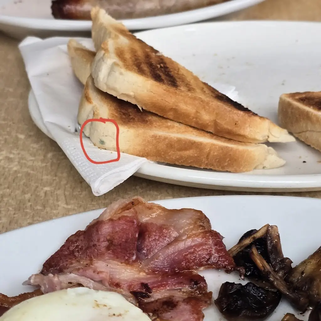 wojtek mat_The Home Kitchen_Dawlish_review