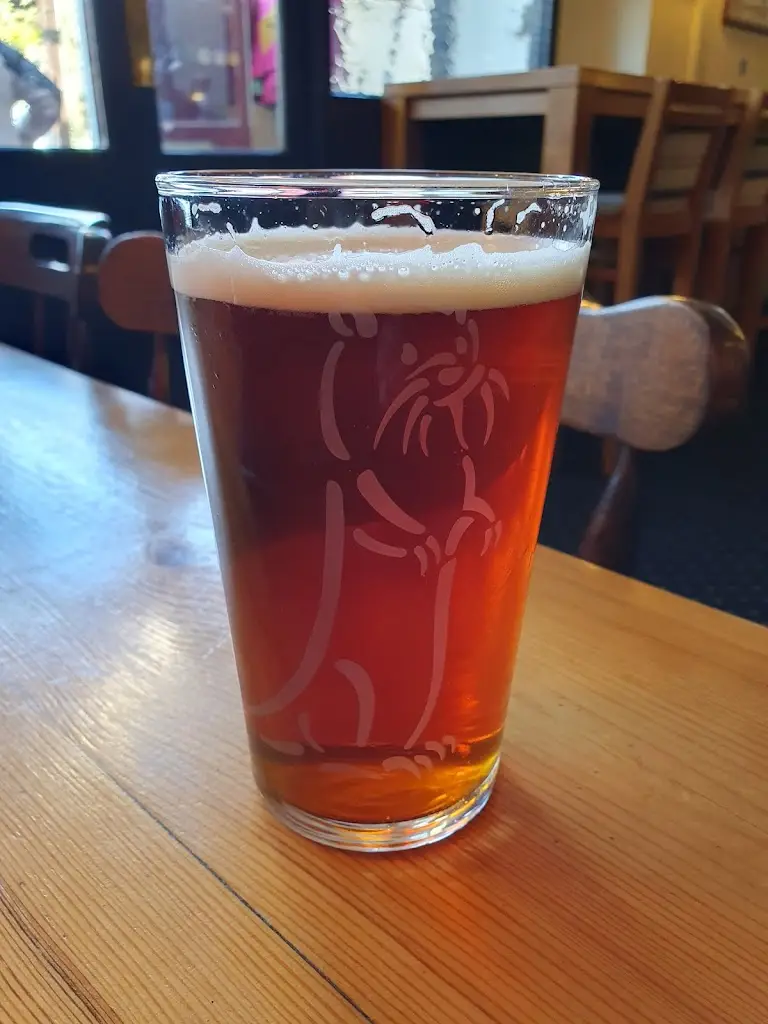 Menu_Brunswick Arms_Dawlish_image_8