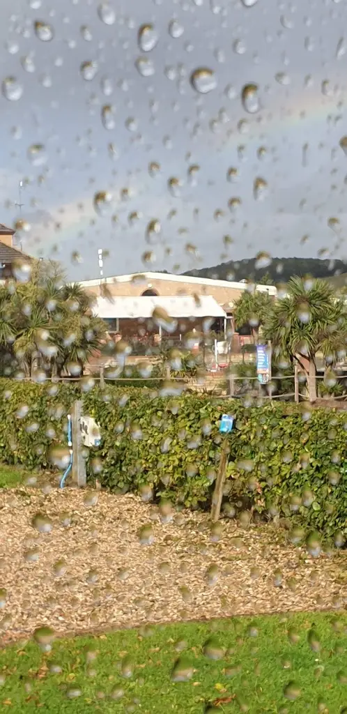 Lisa H_Oceans @Lady's Mile_Dawlish_review