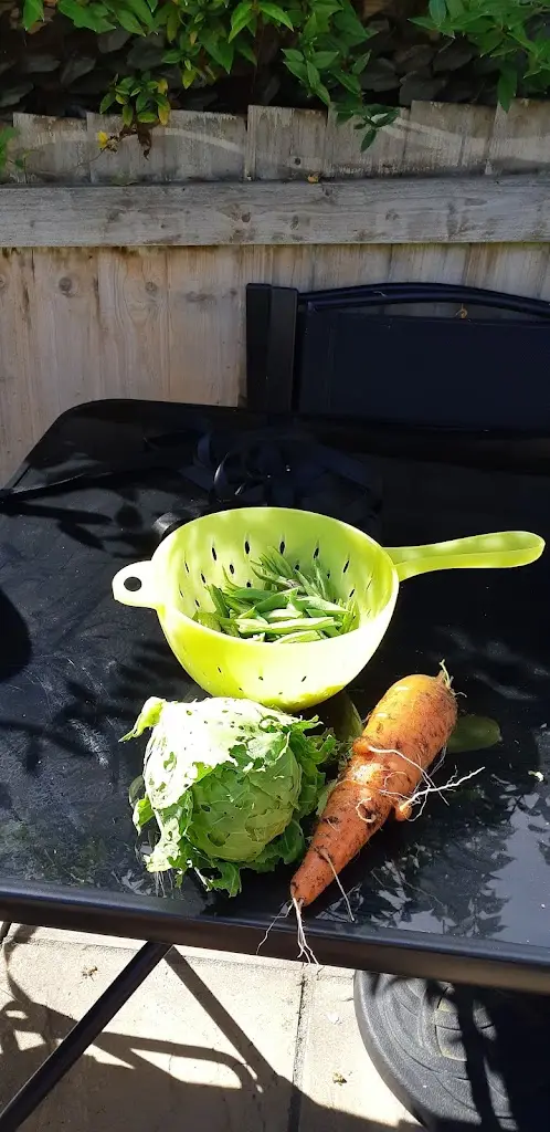 Menu_The Swan Inn_Dawlish_image_2