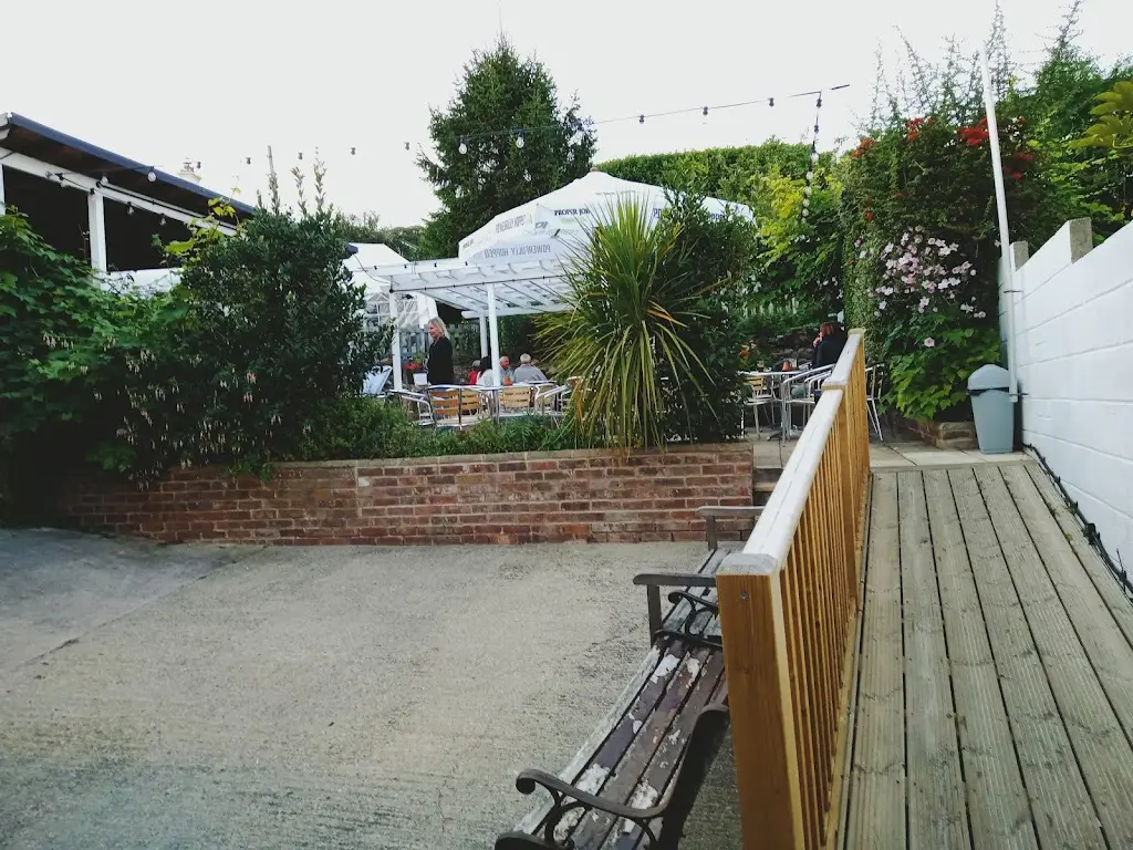 Matt Reid_The Swan Inn_Dawlish_review