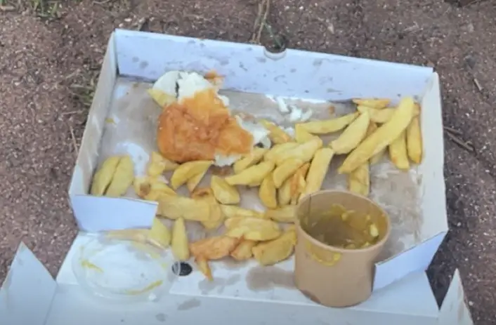 Zero J_Franks Frying in Dawlish_Dawlish_review