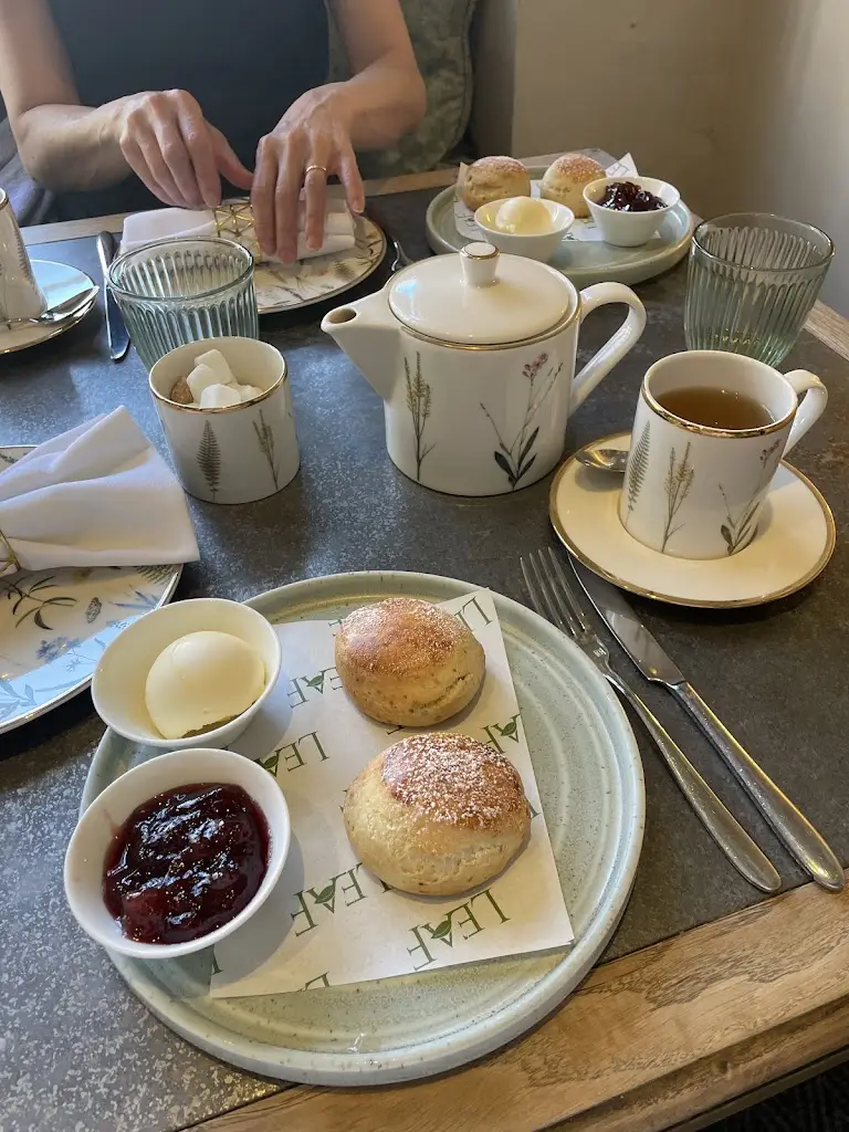 Abbiline Mendosa_Leaf At The Castle_Datchet_recensione