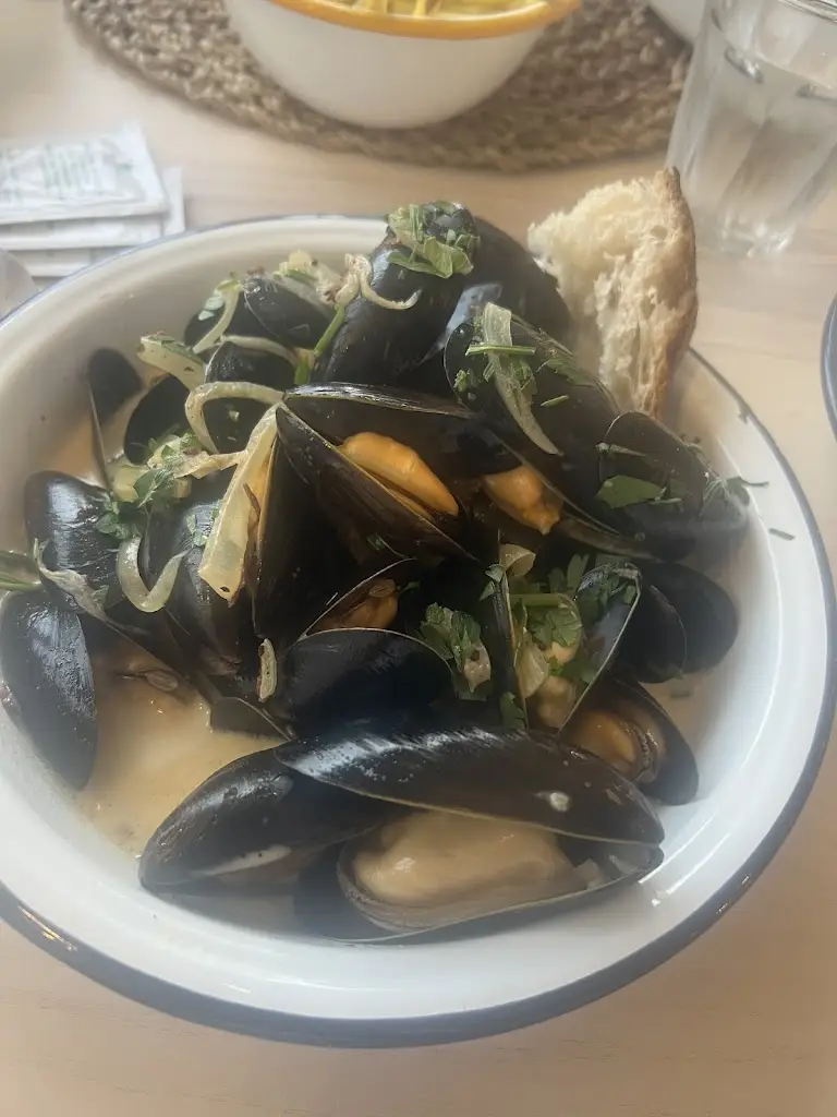 Tracey Ross_The Crafty Mussel_Dartmouth_review