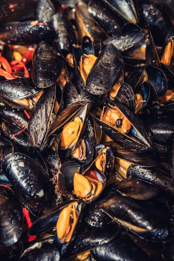The Crafty Mussel_Dartmouth_slider_image_2