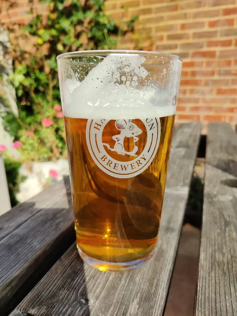 Menu_The Falcon Inn_Denham_image_3