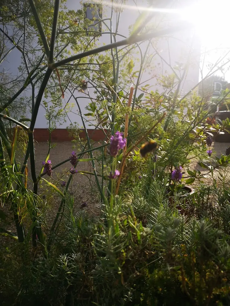 Peter Durkin_The Old Kings Head_Dickleburgh_review