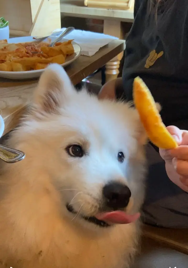 Thea Stevens_ROCK INN - TOCKHOLES_Darwen_review