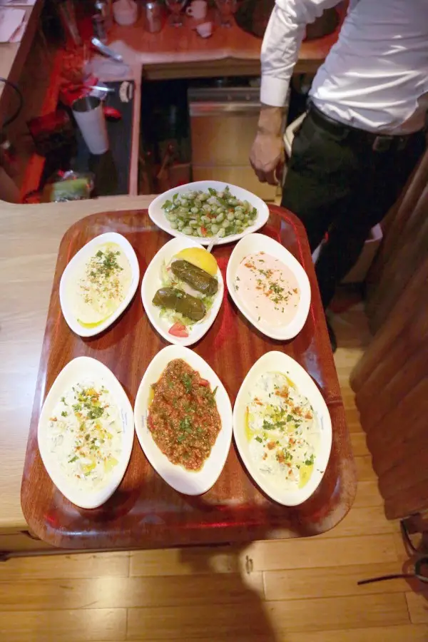 Menu_Turkuaz_Diss_imagen_4