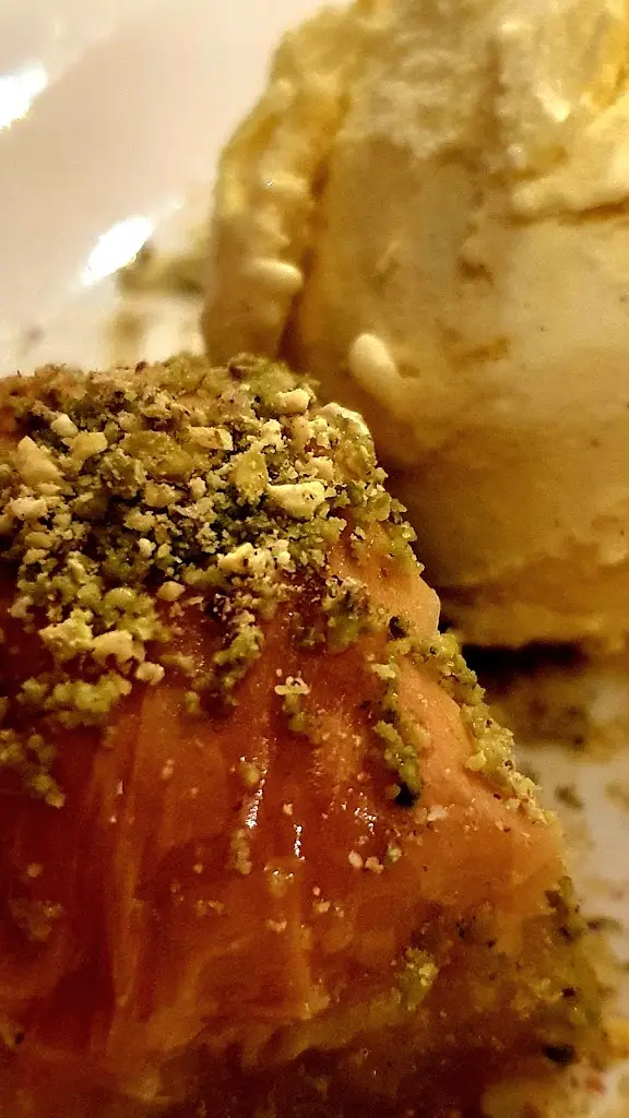 Menu_Turkuaz_Diss_imagen_9