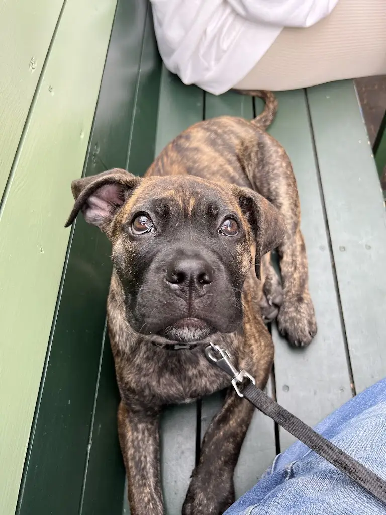 Vince Elgey_FOLK._Didsbury_review