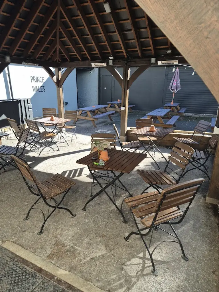 Rover Dover _Prince Of Wales_Didcot_review