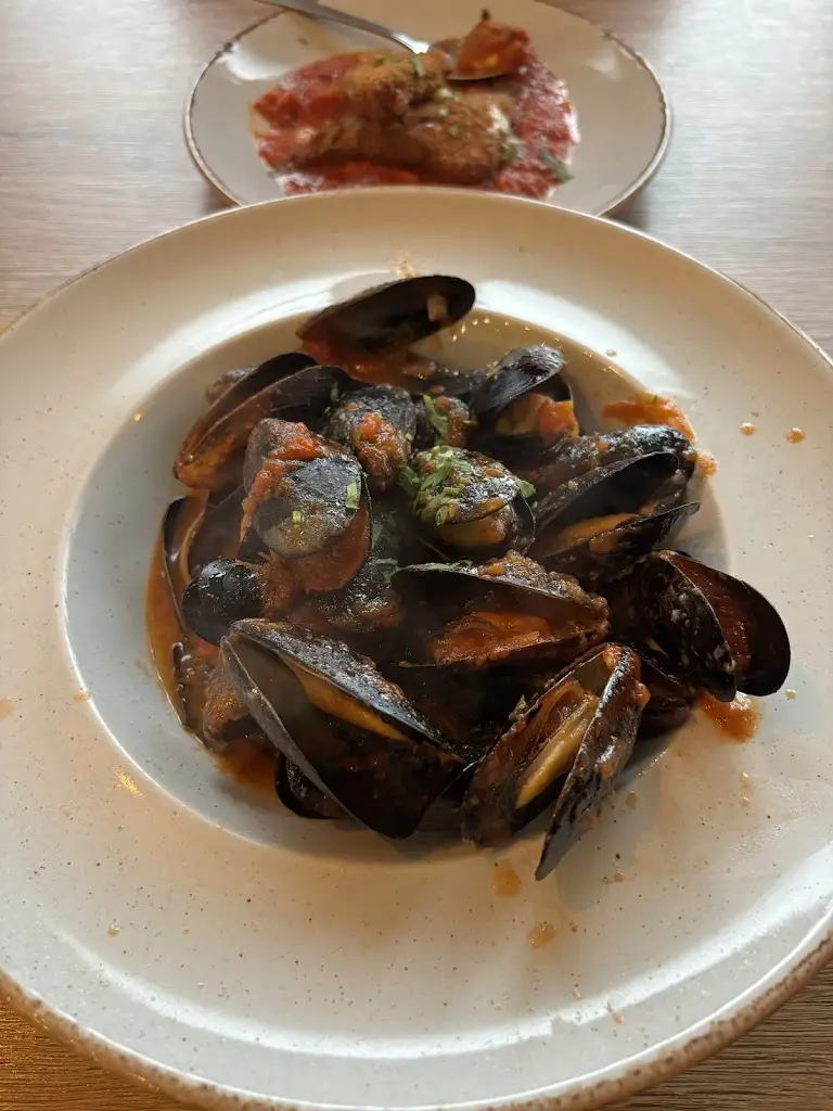 Paul WilkinsonTv_Paulos Restaurant_Dinnington_review