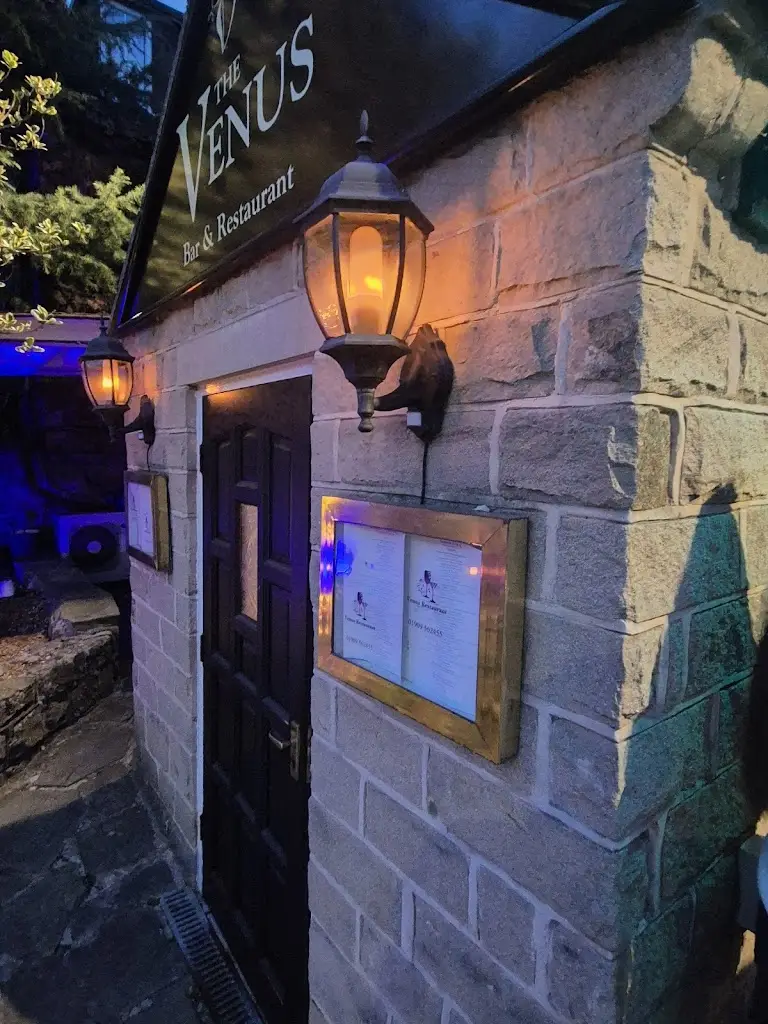 Venus_Dinnington_slider_image_3