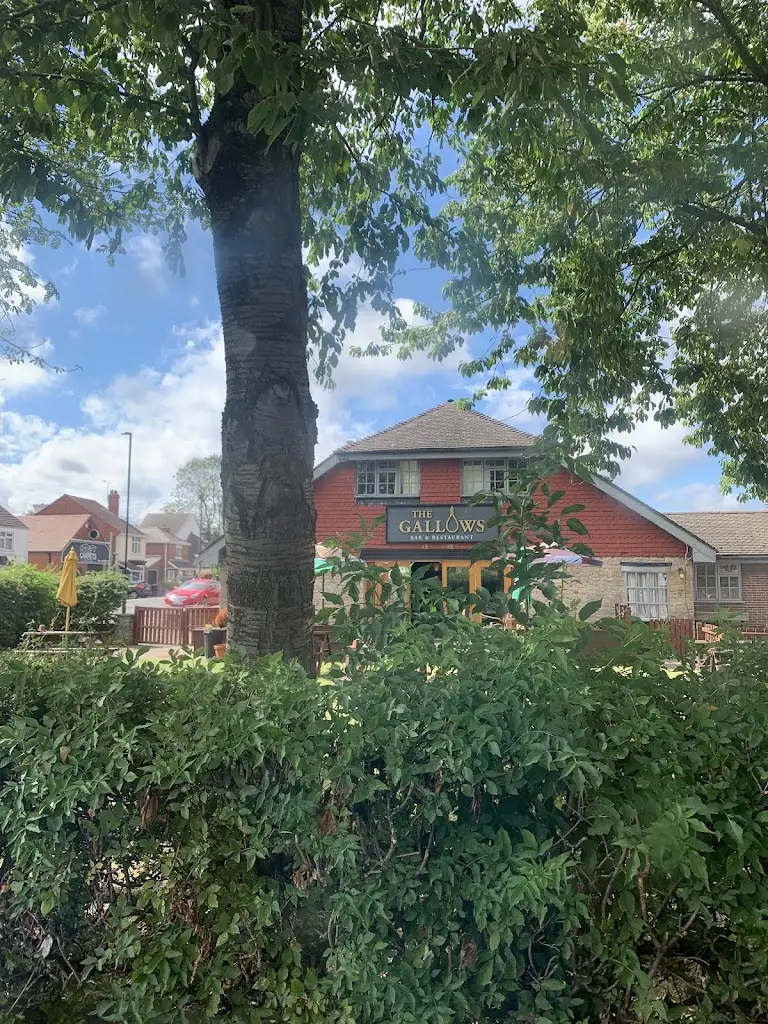 TT Removal_The Gallows_Dinnington_review