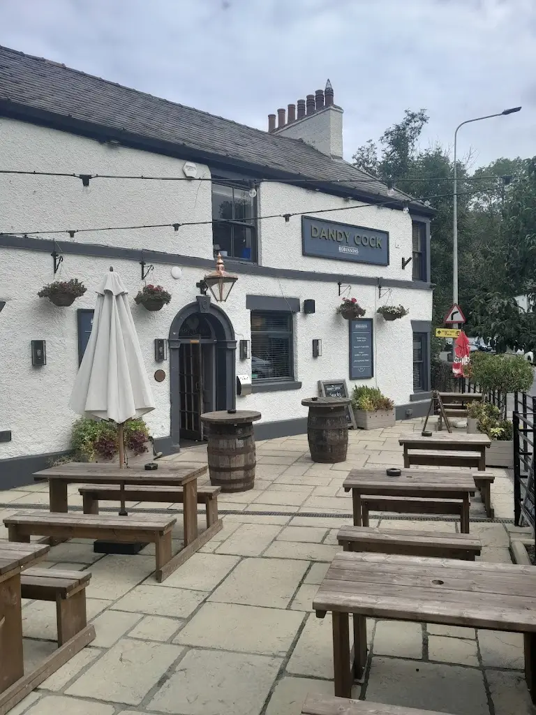 David Fairey_Dandy Cock_Disley_review