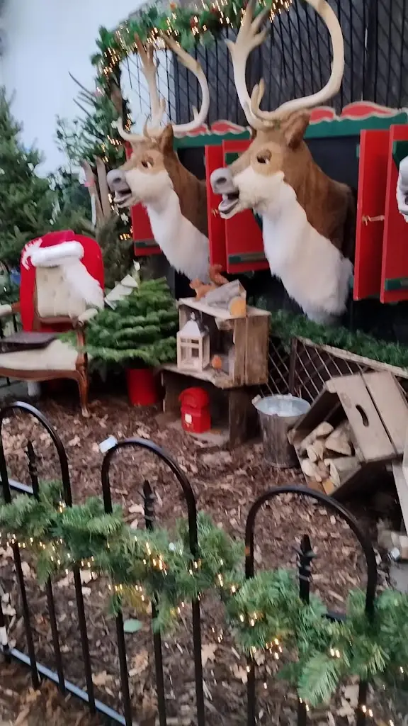 Jef Crow_Notcutts Garden Pride_Ditchling_review