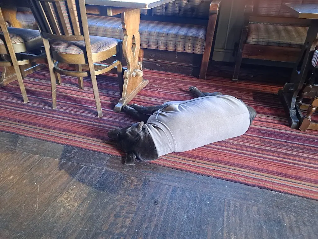 Just Random_Coach & Horses_Draycott_review