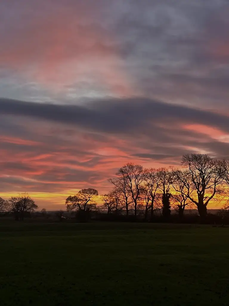 Molly_1760 Brasserie at The Barnsdale_District of Rutland_review